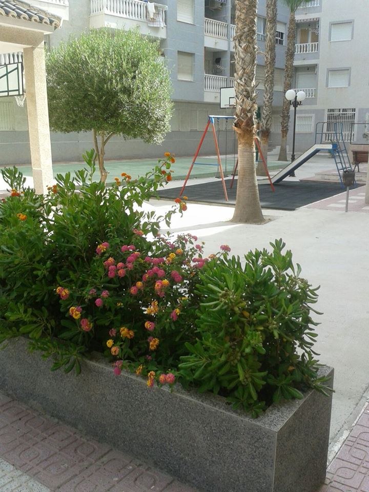 Zonas comunes del residencial